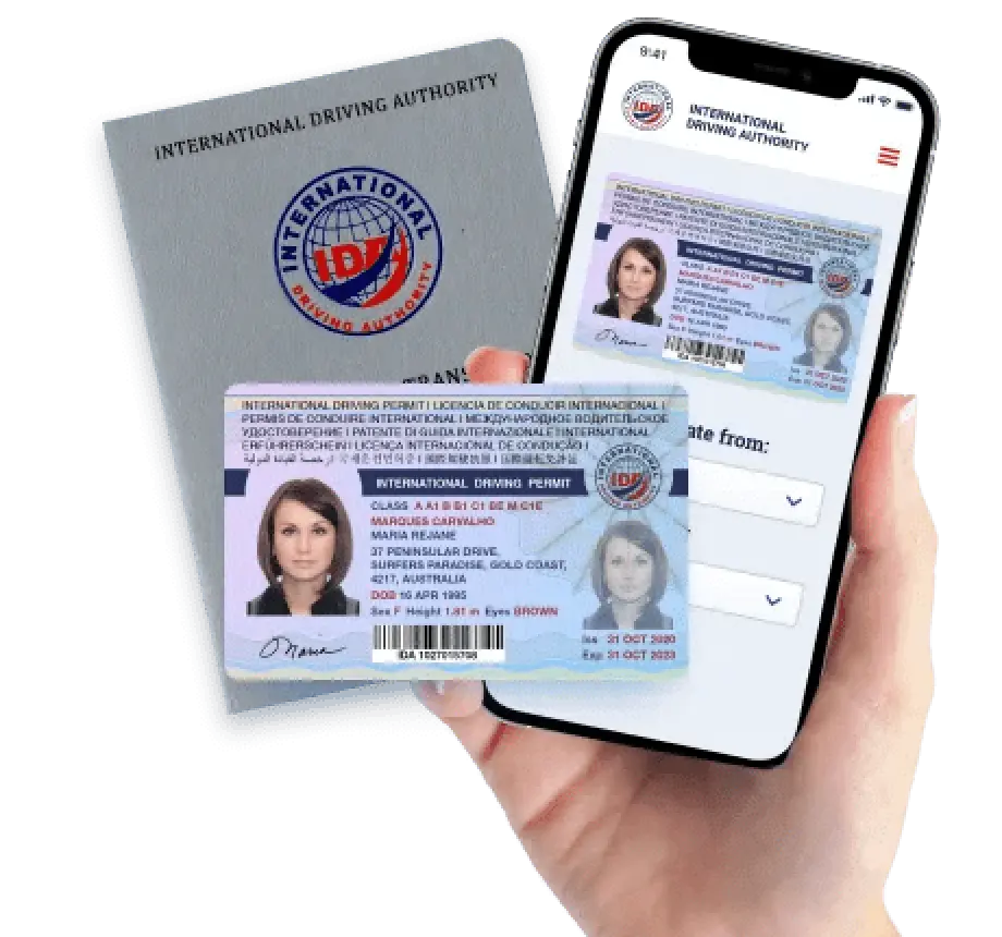 International Driving License