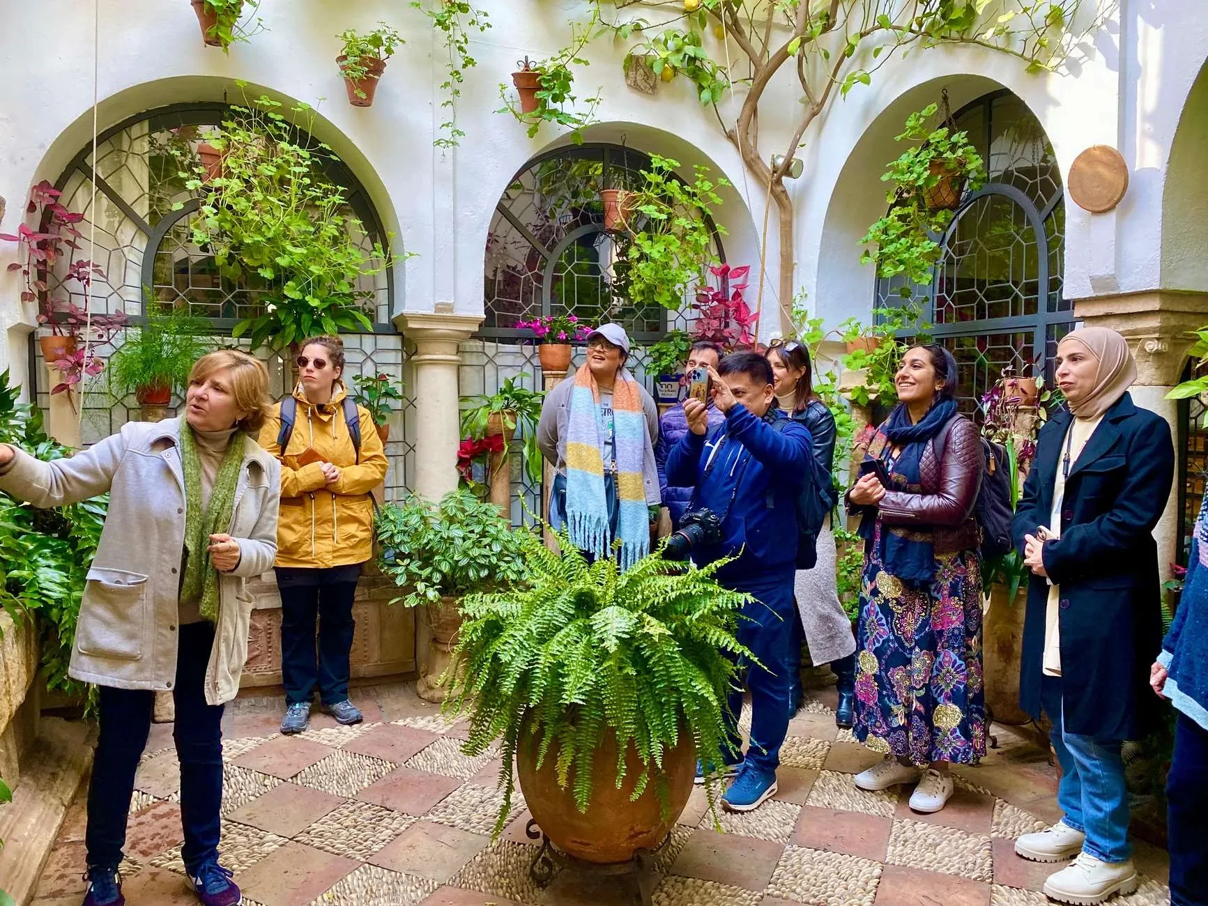 Patios de Cordoue