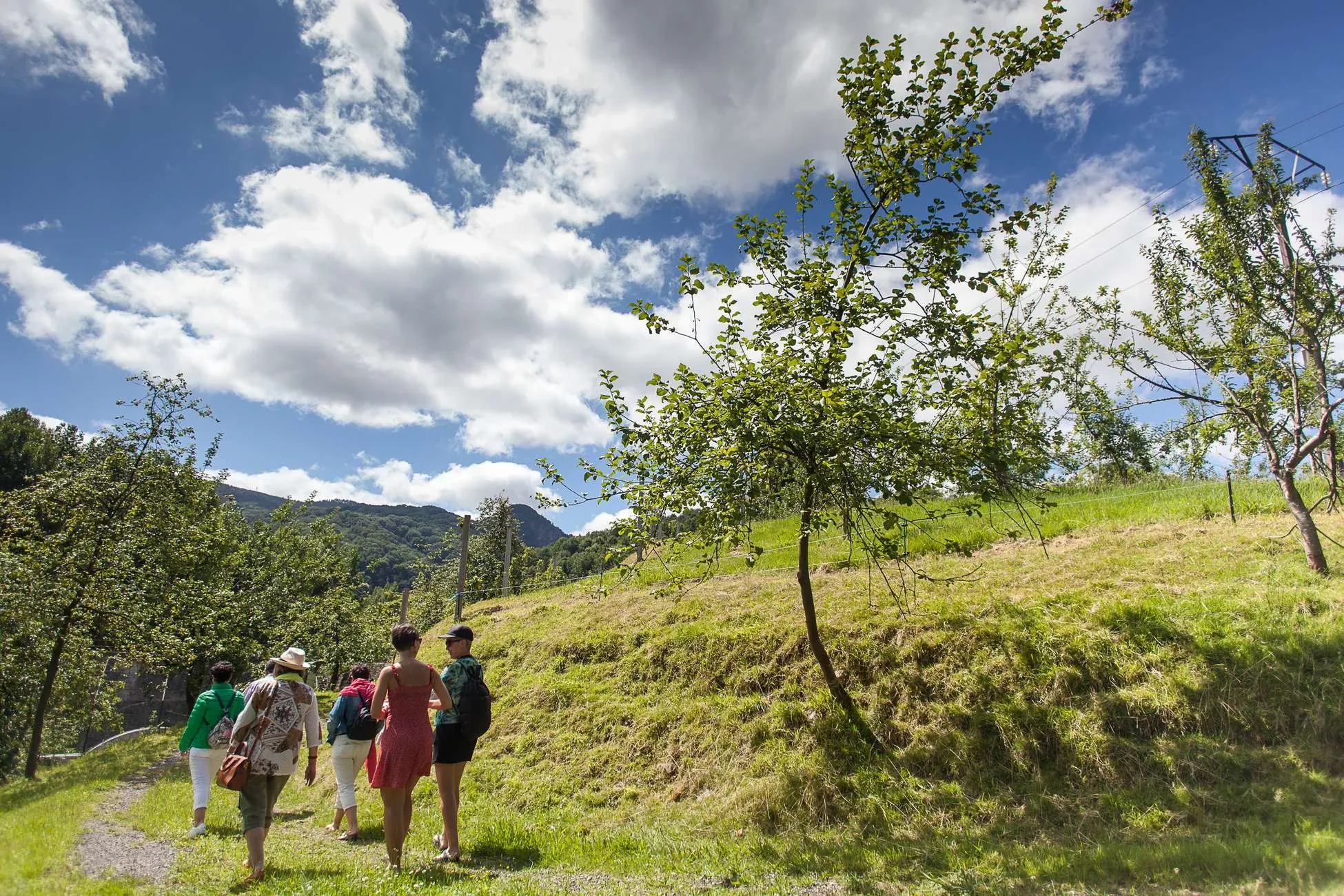 La culture du cidre asturien