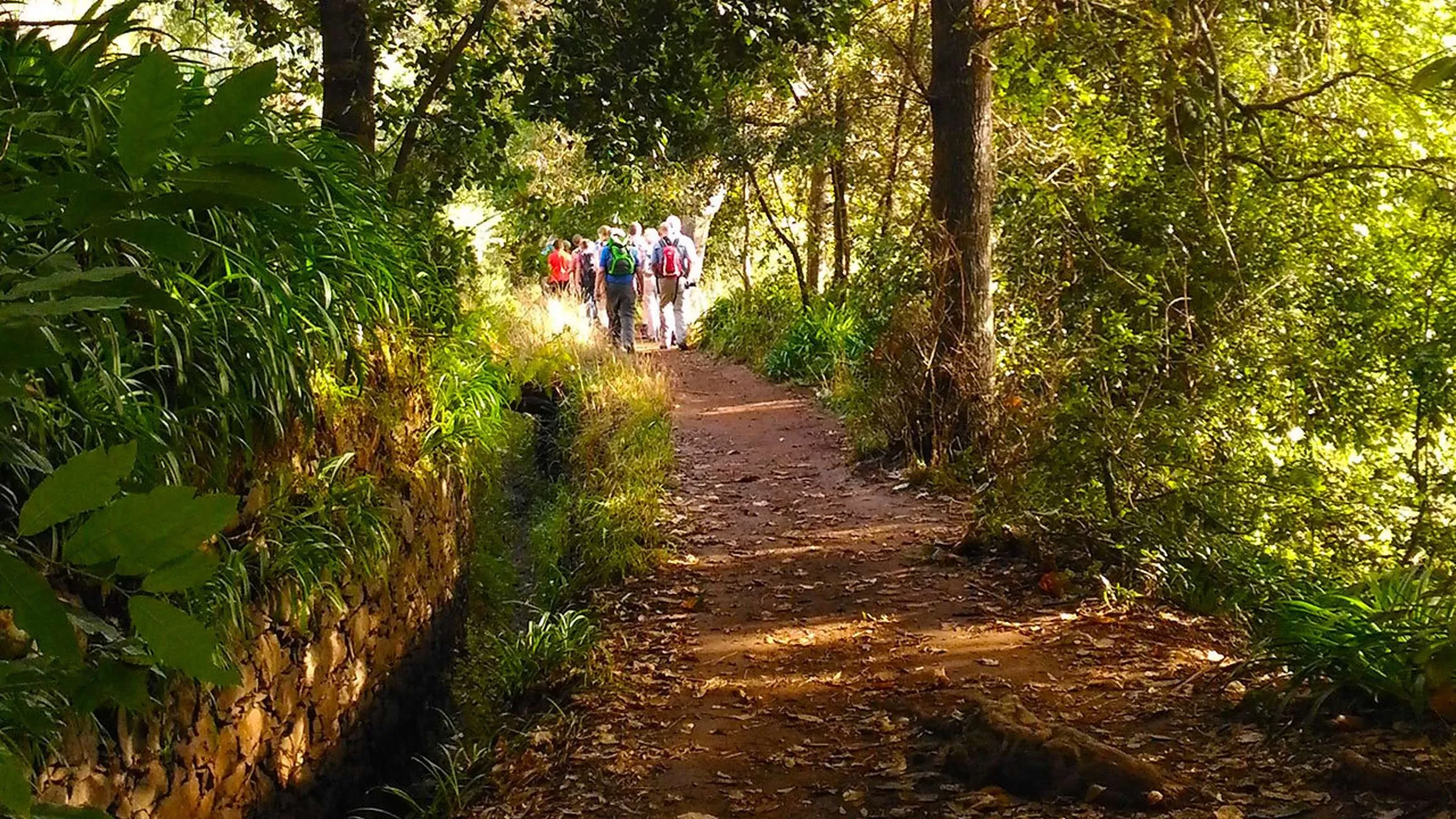 Caminhadas nas Levadas
