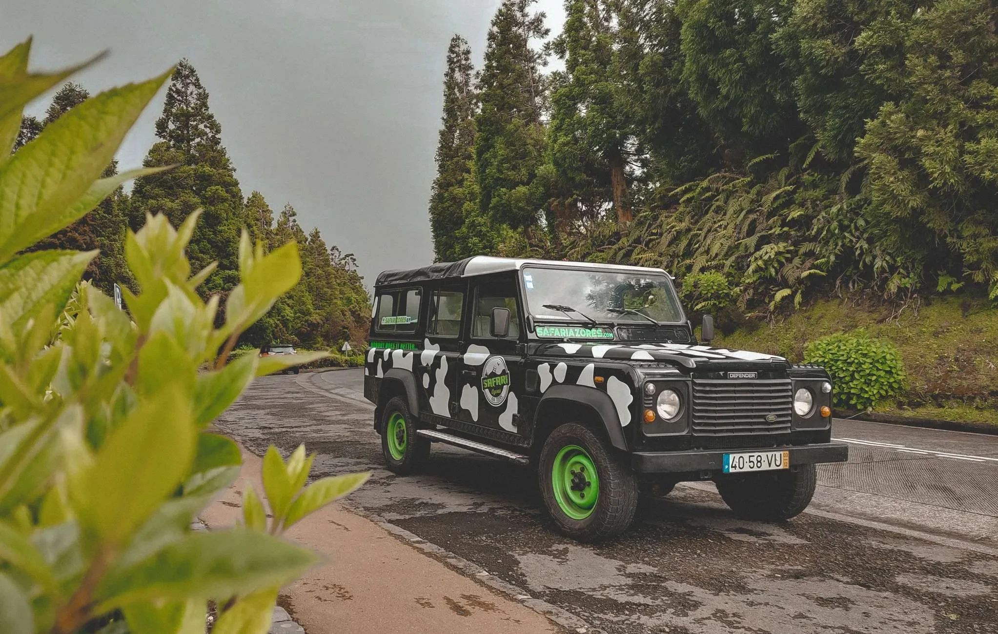 Scenic lake roads and islands