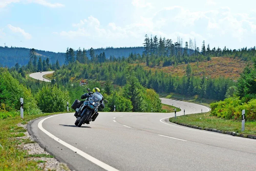 Black Forest B500