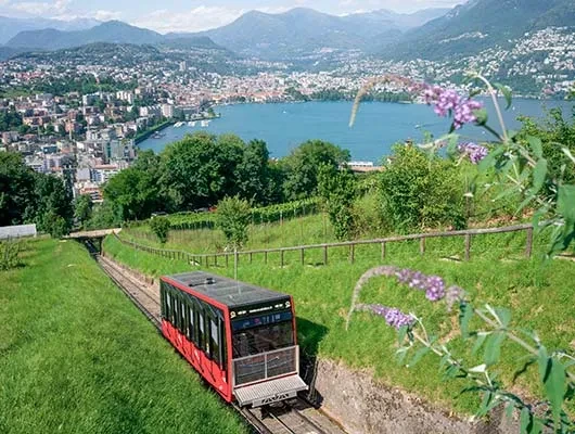 Mont San Salvatore