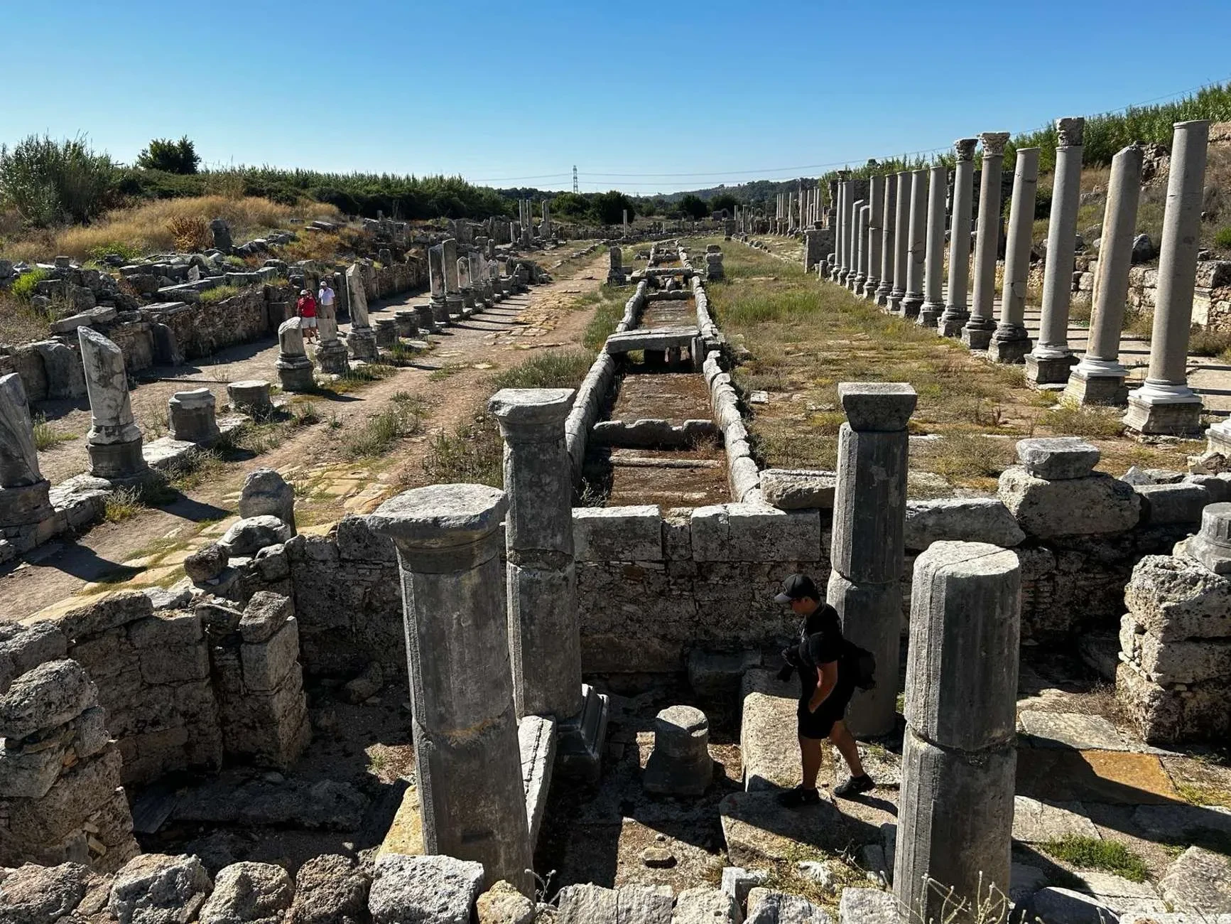 Perge