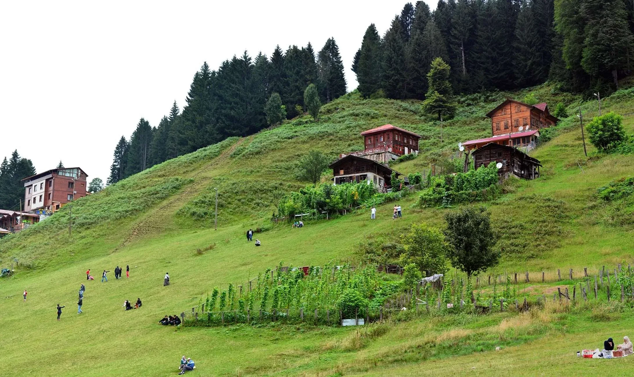 Ayder-Hochebene