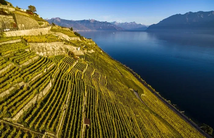 Vignobles de Lavaux