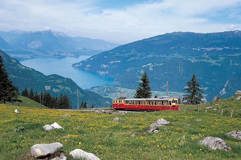 Schynige Platte