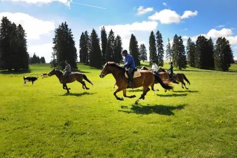 Parcourir le Jura