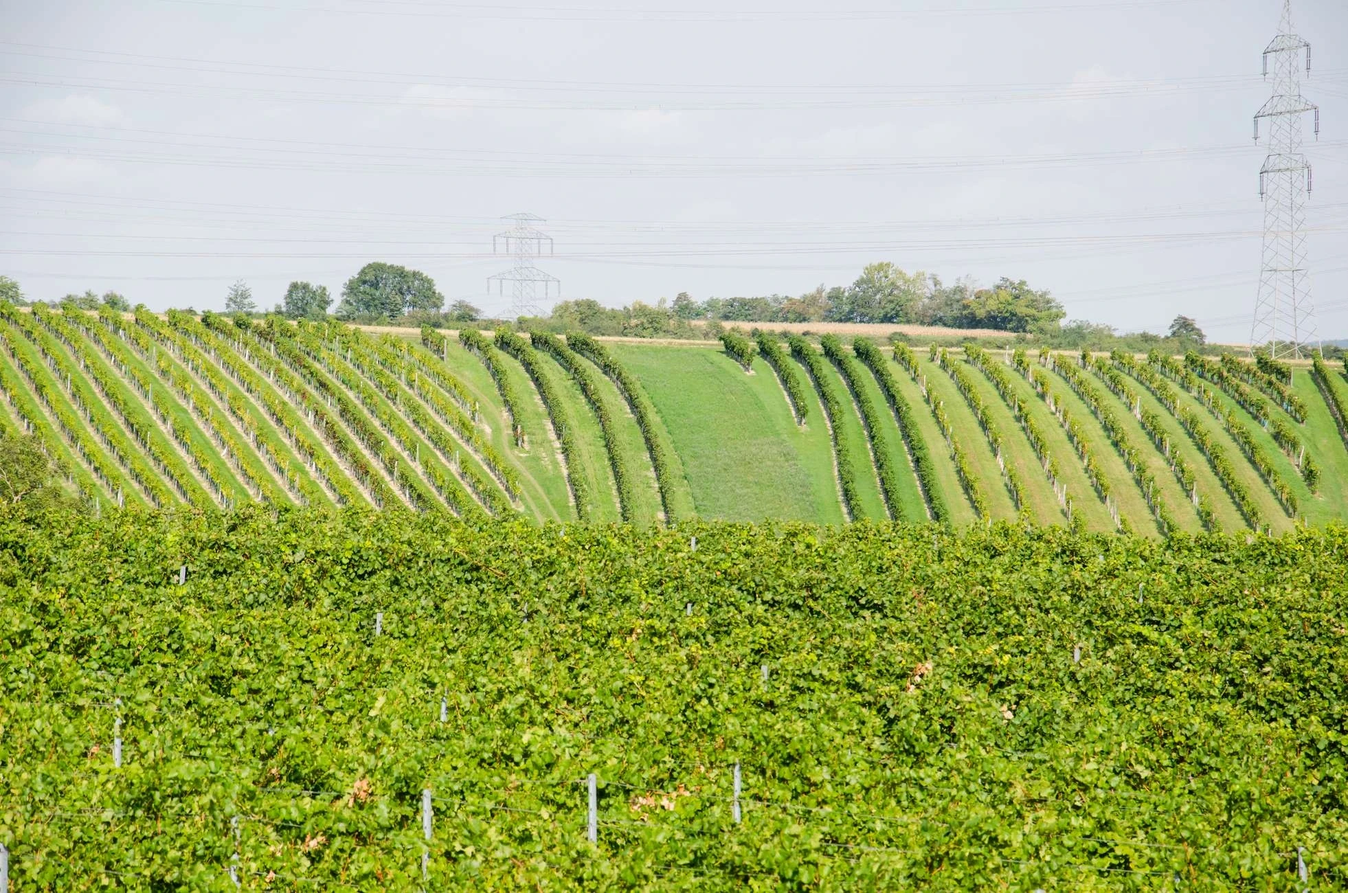 Steirische Weinstraßenfahrt