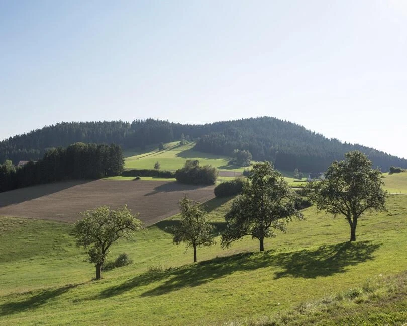 Fahren Sie durch das Mühlviertel